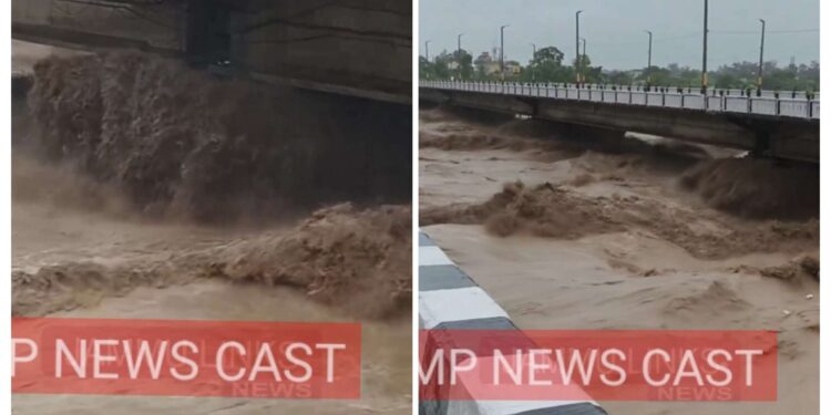 जम्मू श्री माता वैष्णो देवी यात्रा और शिवखोड़ी यात्रा अगले आदेशों तक निलंबित , भूस्खलन के मद्देनजर फैसला !!   जम्मू में तवी नदी उफान पर !!