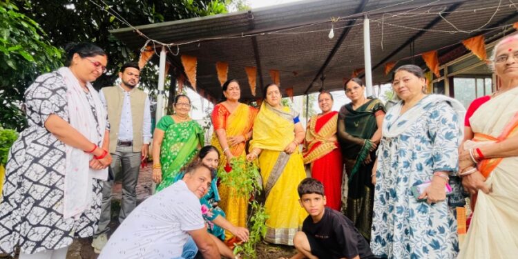अमृत हरित महाभियान के तहत राज्यसभा सांसद माया नारोलिया के संग नपाध्यक्ष नीतू यादव ने किया पौधरोपण…..