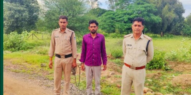 *2 किलो 50 ग्राम गांजे के साथ आरोपी को किया गिरफ्तार*