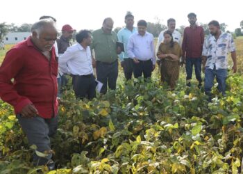 प्रशासनिक अधिकारियों ने खराब हुई सायोबीन फसलों का निरीक्षण किया