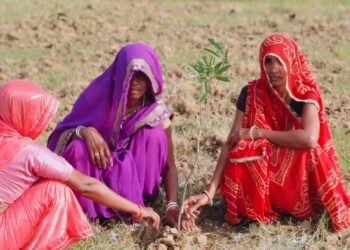 “एक बगिया मां के नाम: मध्यप्रदेश सरकार की महत्वाकांक्षी परियोजना” “महिलाओं को आर्थिक रूप से सशक्त बनाने के लिए एक बगिया मां के नाम”
