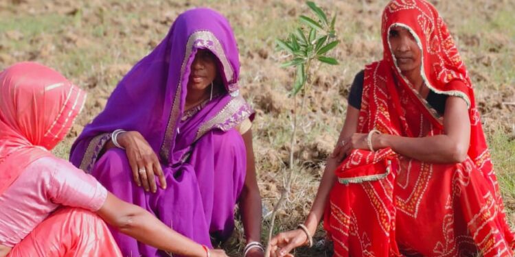“एक बगिया मां के नाम: मध्यप्रदेश सरकार की महत्वाकांक्षी परियोजना” “महिलाओं को आर्थिक रूप से सशक्त बनाने के लिए एक बगिया मां के नाम”