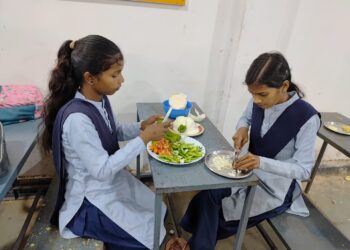 *शासकीय महाविद्यालय बिछुआ में विद्यार्थियों के लिये एक माह का कुकिंग एवं बेकिंग प्रशिक्षण कार्यक्रम किया गया आयोजित*