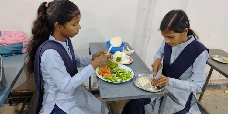 *शासकीय महाविद्यालय बिछुआ में विद्यार्थियों के लिये एक माह का कुकिंग एवं बेकिंग प्रशिक्षण कार्यक्रम किया गया आयोजित*