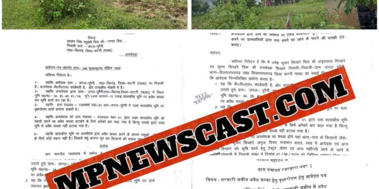 *विजयराधवगढ़ के ग्राम जंगल पुरेंनी में गंभीर मनमानी का मामला,* *ग्राम वासियों की शिकायत फिर भी कब्जाधारी पर नहीं कोई कार्यवाही,* *वृक्षारोपण का भी दिया आवेदन*