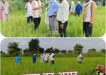 खबर का असर आज दौड़े पटवारी आर आई जांच के लिए