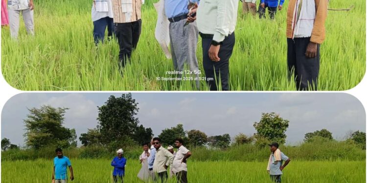 खबर का असर आज दौड़े पटवारी आर आई जांच के लिए