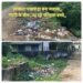 स्वच्छता पखवाड़ा बना मजाक,, गंदगी के बीच ,पढ़ रहे ननिहाल बच्चे