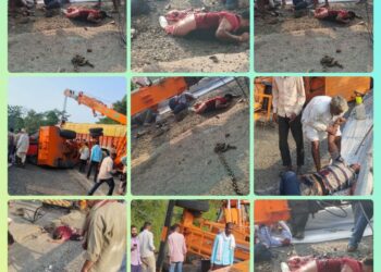 *उमरानाला चौकी क्षेत्र का मामला, पुलिस कर रही मामले की जांच*  *क्रेन पलटने से कर्मचारी की मौत,चार घायल..*
