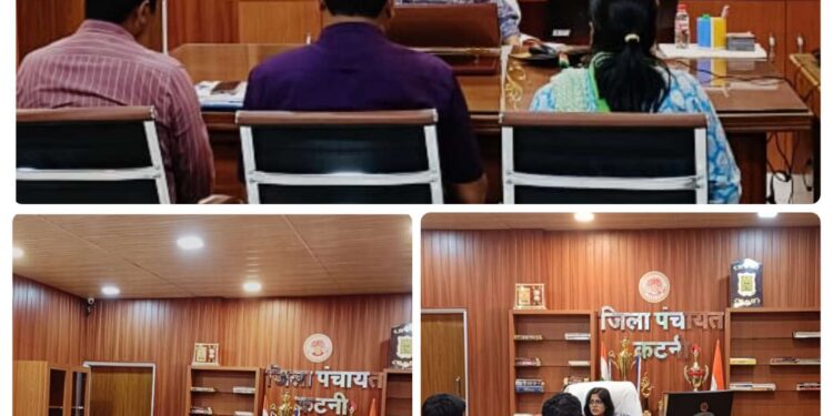 जिला पंचायत सीईओ तपस्या परिहार ने योजनाओं की प्रगति की समीक्षा