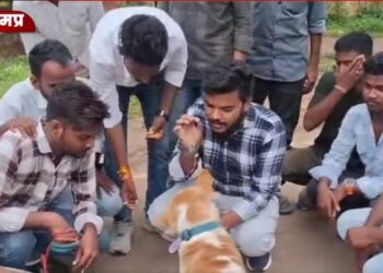 कुत्ते को दिया ज्ञापन कांग्रेस कार्यकर्ताओं का विरोध प्रदर्शन, तहसीलदार की जगह