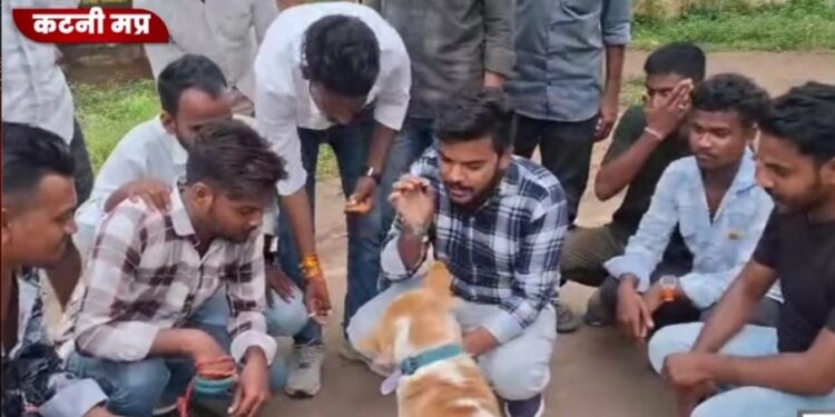 कुत्ते को दिया ज्ञापन कांग्रेस कार्यकर्ताओं का विरोध प्रदर्शन, तहसीलदार की जगह