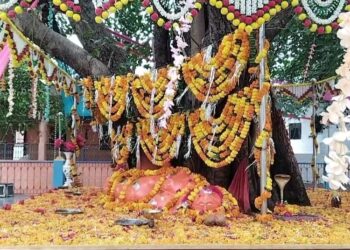 *भैरू महाराज के दरबार में उमड़ा आस्था का सैलाब* खोकराकलां