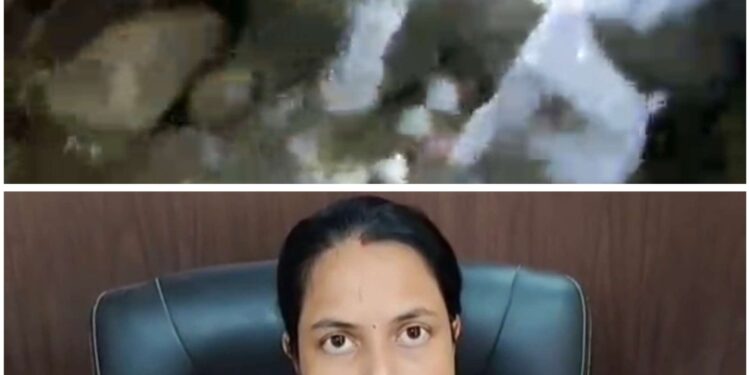 शर्मसार हुई माँ की ममता,3 दिन के नवजात शिशु को जंगल मे फेंका* *नोकरी जाने के डर से शिक्षक ने रचा षड्यंत्र* VIDEO