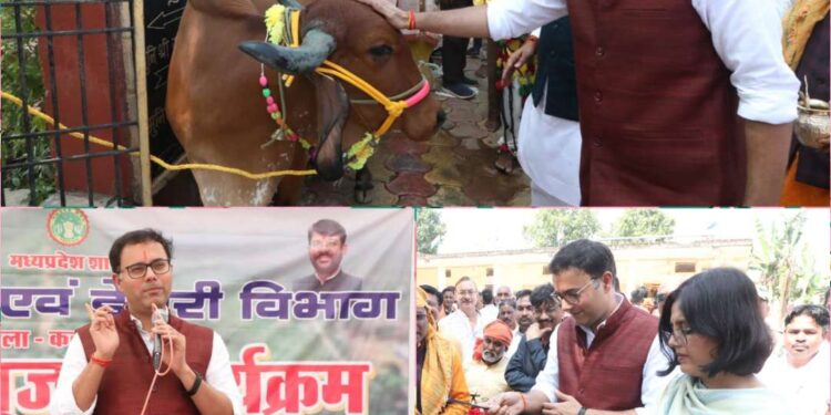 कलेक्टर दयोदय पशु सेवा केन्द्र गौशाला में गोवर्धन पूजा समारोह में हुए शामिल