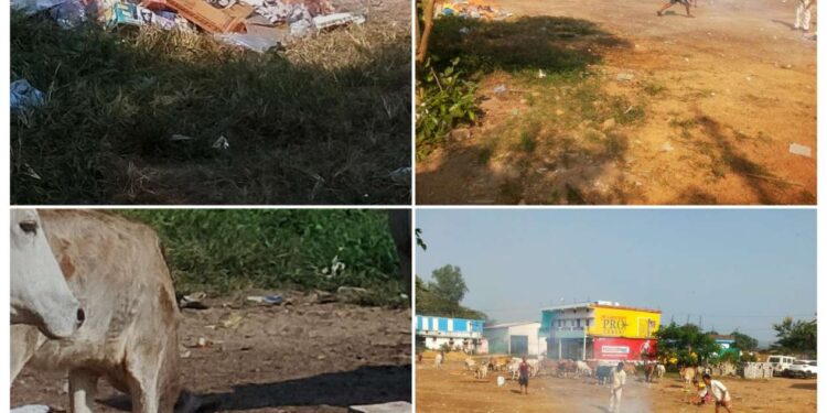 *पटाखा व्यापारियों ने फैलाया कचरा, मवेशियों के लिए बनी मुसीबत?*