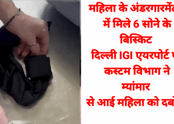 ✈️ महिला के अंडरगारमेंट्स में छिपाए 6 सोने के बिस्किट, IGI एयरपोर्ट पर कस्टम विभाग की बड़ी कार्रवाई देखे। VIDEO