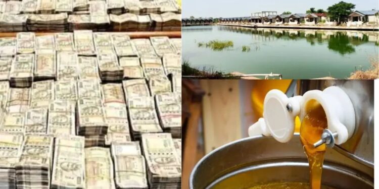 🚨 मिनी मालदीव वाला PWD अफसर! करोड़ों की संपत्ति, किलो में सोना और फार्महाउस में निकला रिसॉर्ट — MP में अब तक की सबसे चौंकाने वाली रेड