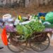 रेहड़ी संचालकों को ऋण उपलब्ध कराने प्रधानमंत्री स्वनिधि योजना पुनः प्रारंभ स्ट्रीट वेंडरों को मिलेगा 10 हजार रुपए की जगह 15 हजार रुपए का ऋण
