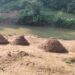 **ग्राम पंचायत महनेर के आश्रित ग्राम वीरान घुघरी में रेत माफियाओं का आतंक
