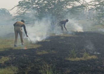 इंदरगढ़ क्षेत्र के गुंदारा गांव के पास जंगल में अचानक लगी आग कई बीघा जंगल जलकर हुआ राख