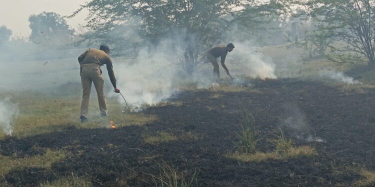 इंदरगढ़ क्षेत्र के गुंदारा गांव के पास जंगल में अचानक लगी आग कई बीघा जंगल जलकर हुआ राख