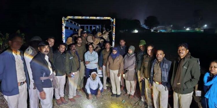 *सांवरी वनपरिक्षेत्र के ग्राम मानकादेही खुर्द में 30 नग सागौन के अवैध लट्ठे पकड़ाए*
