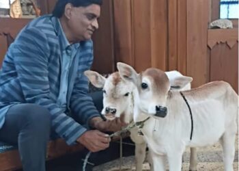 *गौवंश संरक्षण एवं पालन व गौ-सेवा का भाव भारत के आम नागरिकों में जगाना विश्व मंगल के लिये शुभ संकेत है- महामण्डलेश्वर स्वामी अखिलेश्वरानंद गिरि*