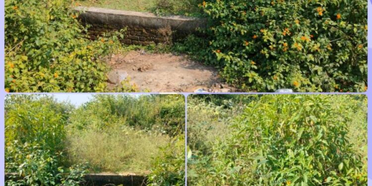 ग्राम पंचायत उमरिया पान मुख्यमंत्री के आदेश की उड़ा रही धज्जियां