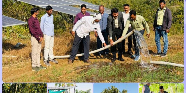 *सफल कृषक की प्रेरक कहानी: तिगांव के जैविक संतरा उत्पादक श्री नरेन्द्र ठाकरे की अद्भुत उपलब्धि*