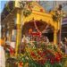 गुरुनानक देव जी के 556वें प्रकाश पर्व पर निकली भव्य शोभायात्रा कटनी में श्रद्धा, सेवा और भाईचारे का अनूठा संगम