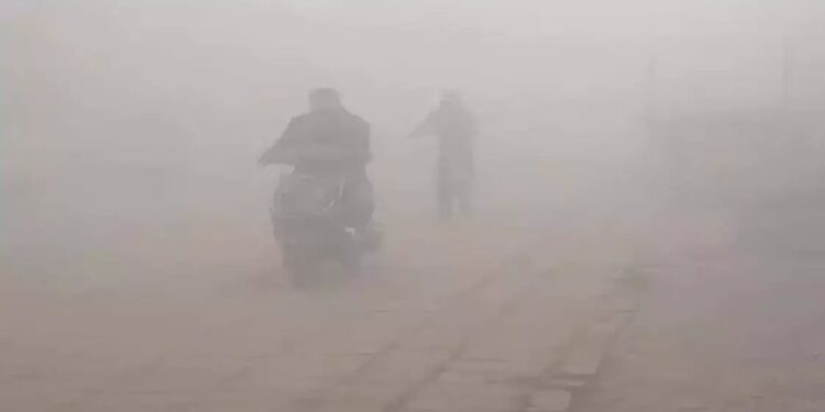 नवंबर में ठिठुर उठा मध्यप्रदेश! मैदानों ने पहाड़ों को दी मात—15–25 साल के रिकॉर्ड ध्वस्त
