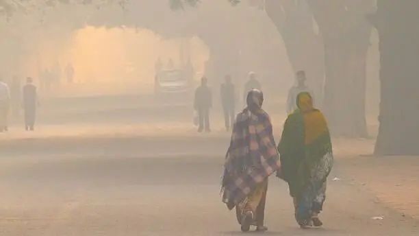 ठंड ने तोड़े रिकॉर्ड: MP के कई जिलों में तापमान 10° से नीचे 48 घंटे और बढ़ेगी सर्दी, मौसम विभाग ने जारी किया अलर्ट