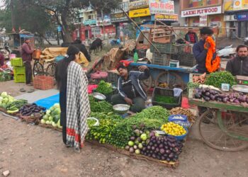 कलेक्टर के निर्देशानुसार विक्रेताओं से लिये गये सब्जियों के नमूने.
