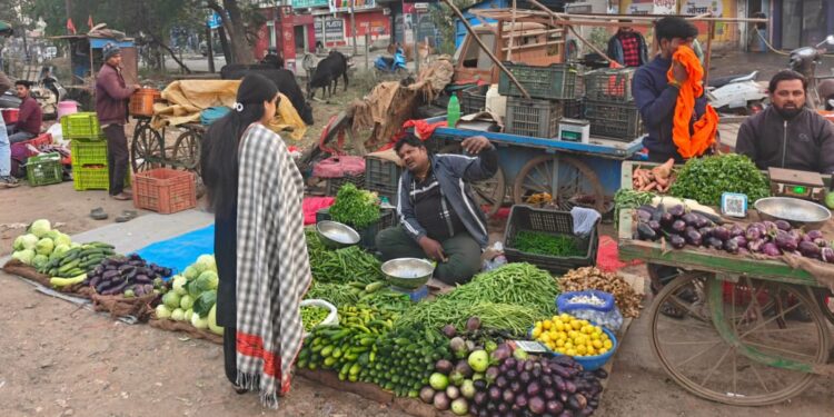 कलेक्टर के निर्देशानुसार विक्रेताओं से लिये गये सब्जियों के नमूने.