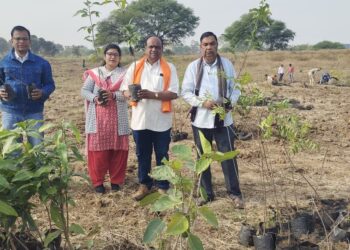 *नगर परिषद चाँद के मोक्षधाम में किया गया 200 पौधों का रोपण*