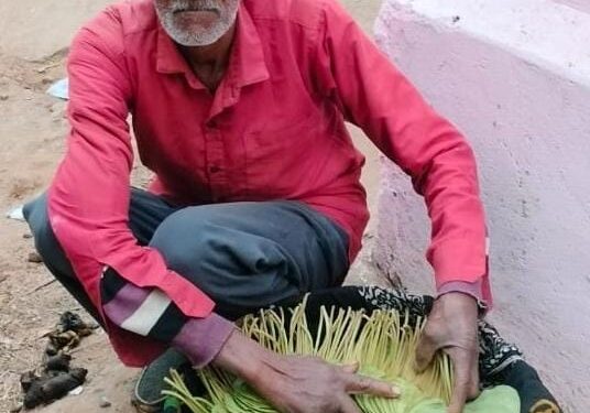 पान किसान गुलाबचंद चौरसिया का निधन, परिवार पर टूटा दुखों का पहाड़