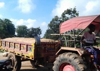 प्रशासन की मिलीभगत से क्षेत्र में चल रहा अवैध रेत कारोबार, जिम्मेदार नहीं दे ध्यान