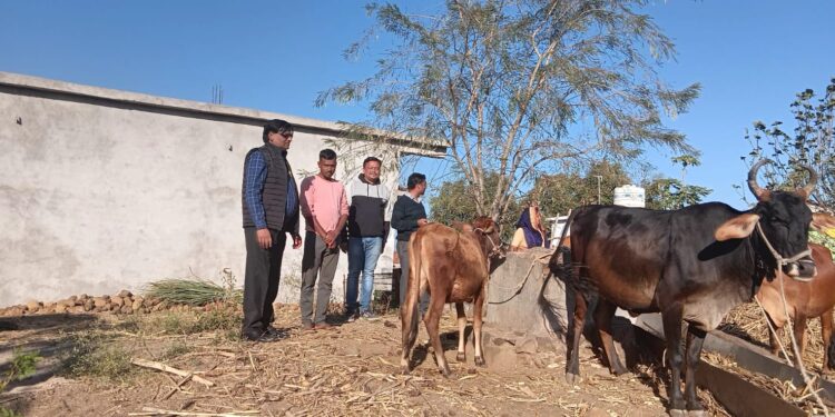 *”दुग्ध समृध्दि सम्पर्क अभियान” के व्दितीय चरण अंतर्गत उप संचालक डॉ. पक्षवार ने किया पशुपालकों का सत्यापन*