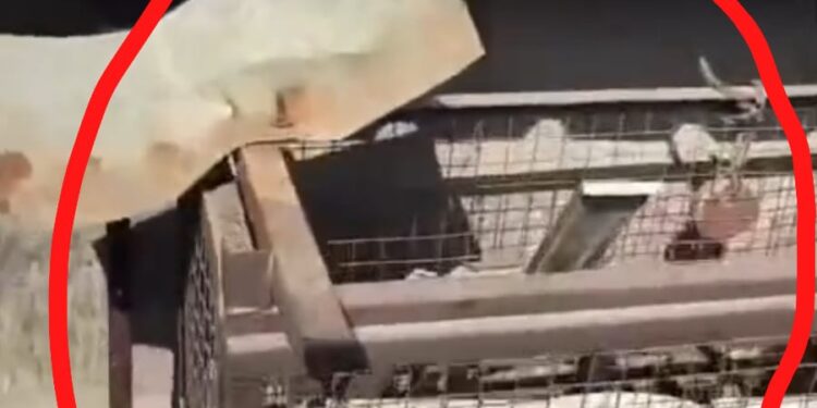 चोरों ने बीच बाजार रात्रि में दुकानों के एसी पार्ट्स किए चोरी,व्यापारियों में दहशत, दर्ज कराई FIR…वीडियो