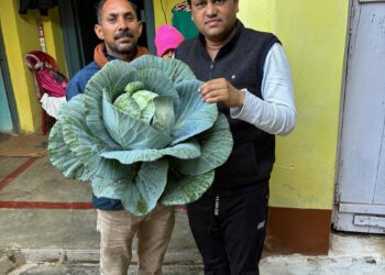 जैविक खेती कर लोगों को ताजी सब्जियां उपलब्ध कर रहे हरेंद्र सिंह बागरी