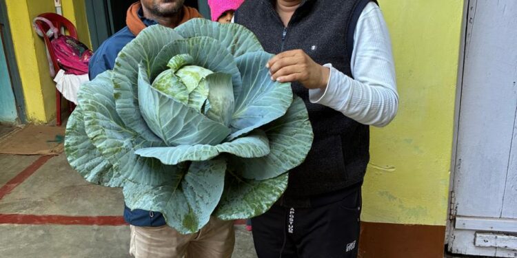 जैविक खेती कर लोगों को ताजी सब्जियां उपलब्ध कर रहे हरेंद्र सिंह बागरी