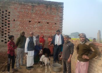 अराजक तत्वों ने मड़हे में लगायी आग जली मवेशी चहनिया चन्दौली।