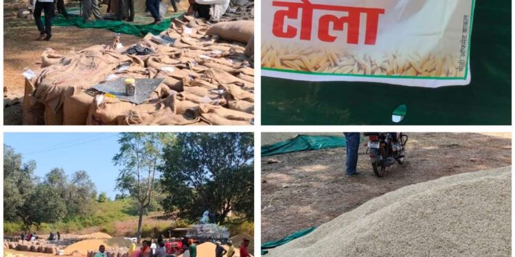 टोला धान खरीदी केंद्र में अनियमितताएँ, किसानों में आक्रोश  प्रभारी, नोडल अधिकारी और सर्वेयर नदारद,व्यापारी-दलाल सक्रिय