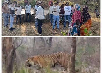 🔴 शाहडार के जंगलों में दहशत का साया जंगली जानवरों के डर से स्कूल नहीं जा पा रहे बच्चे मूलभूत सुविधाओं से वंचित ग्राम खरहटा