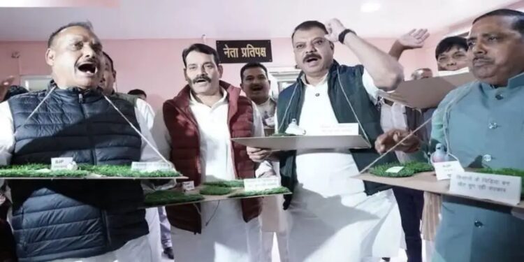 मध्यप्रदेश विधानसभा में 13,476 करोड़ का अनुपूरक बजट पेश, ग्रामीण आवास और महिला योजनाओं पर सरकार का बड़ा दांव