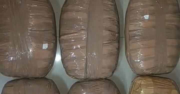 *मादक पदार्थ गांजा के कारोबार में लिप्त 2 आरोपी पुलिस गिरफ्त में,* *8 किलो 43 ग्राम गांजा कीमती लगभग 4 लाख रूपये का तथा 2 मोबाईल जप्त*
