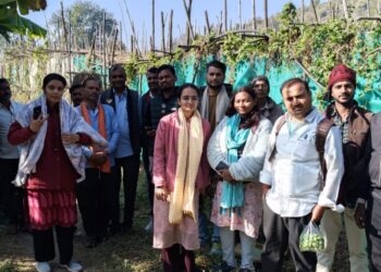 प्रशासनिक निर्देशों पर पान बरेजों का संयुक्त सर्वे, फसल क्षति का किया गया वास्तविक आकलन