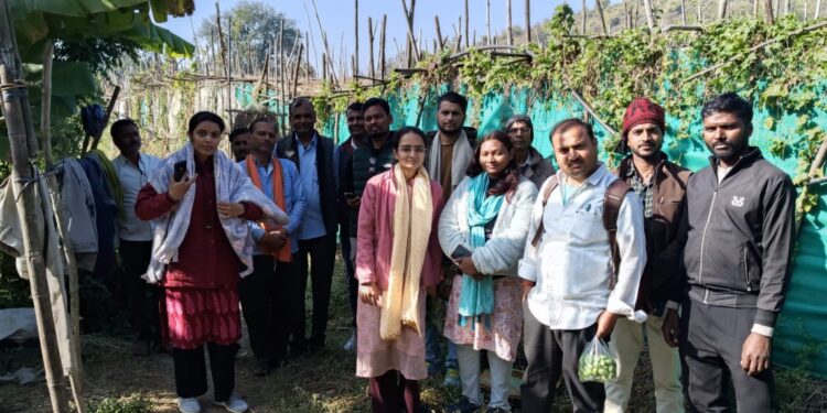 प्रशासनिक निर्देशों पर पान बरेजों का संयुक्त सर्वे, फसल क्षति का किया गया वास्तविक आकलन