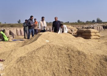 *4 हजार क्विंटल से अधिक अमानक धान का नहीं होगा उपार्जन*  *संयुक्त जांच दल ने किया बहोरीबंद के अंतर्गत संचालित उपार्जन केन्द्रों का औचक निरीक्षण*